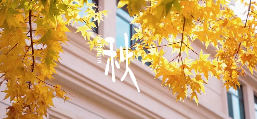 南宫电子游戏-不凡成就非凡,相信品牌的力量