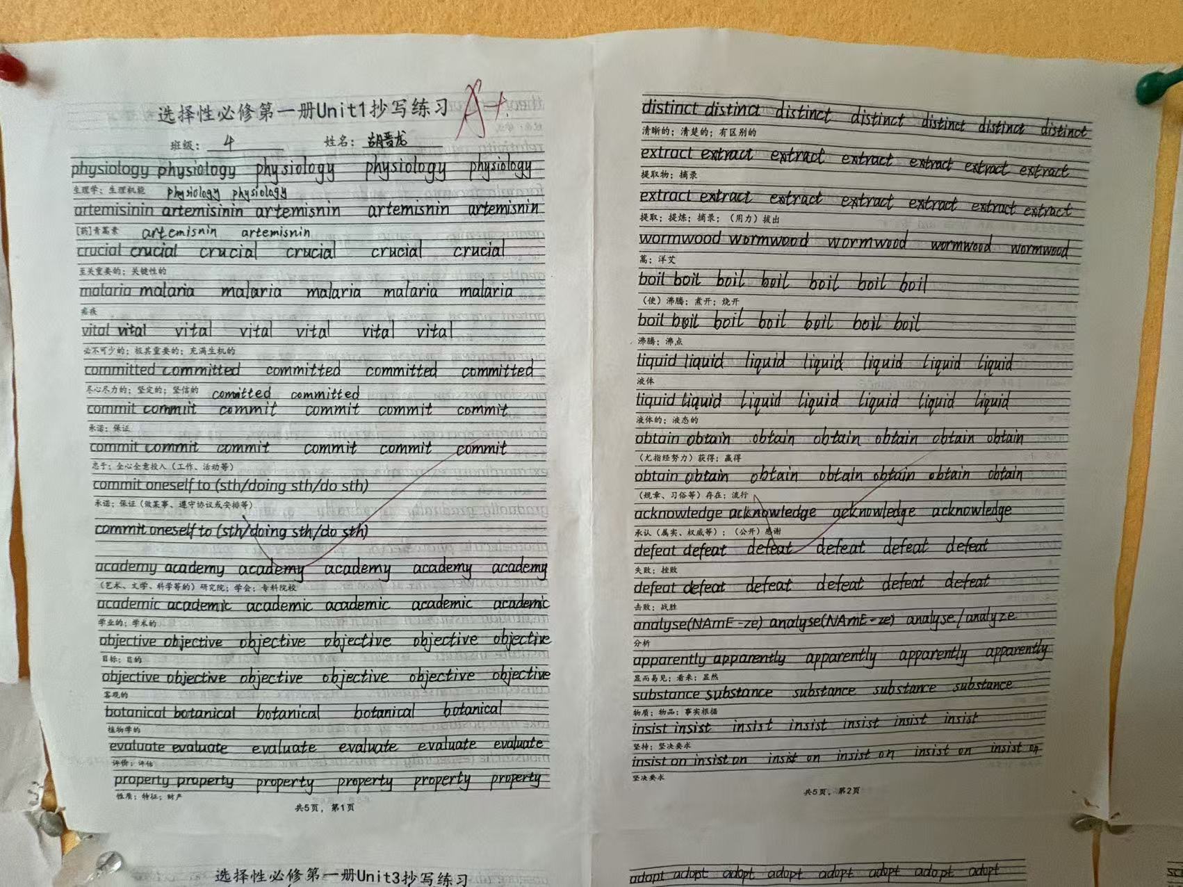 85ee356902fde1685fac3ad3d3dc0ae3 南宫电子游戏-不凡成就非凡,相信品牌的力量