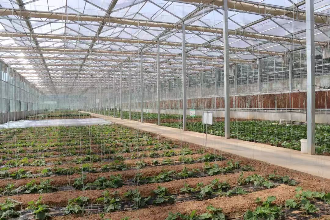 南宫电子游戏-不凡成就非凡,相信品牌的力量